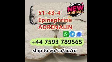 new arrival cas 51-43-4 Epinephrine powder C9H13NO3 ADRENALIN 