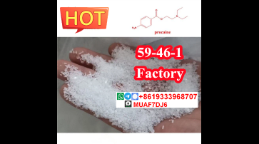  Procaine powder, cas59–46–1,Procaine base,Procaine hydrochloride ,51-05-8 ,Procaine factory