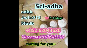 Strongest Cannabinoid 5cladba Powder Authentic Vendor 5CL-ADB-A precursor raw